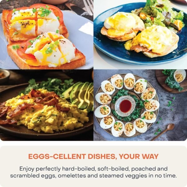 rapid egg cooker