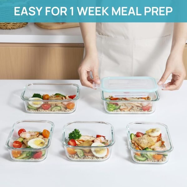 glass meal containers